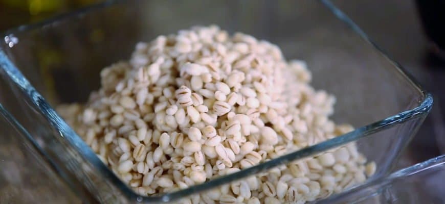 Лучшая прикормка для карпа - рецепты, аттрактанты по холодной и теплой воде