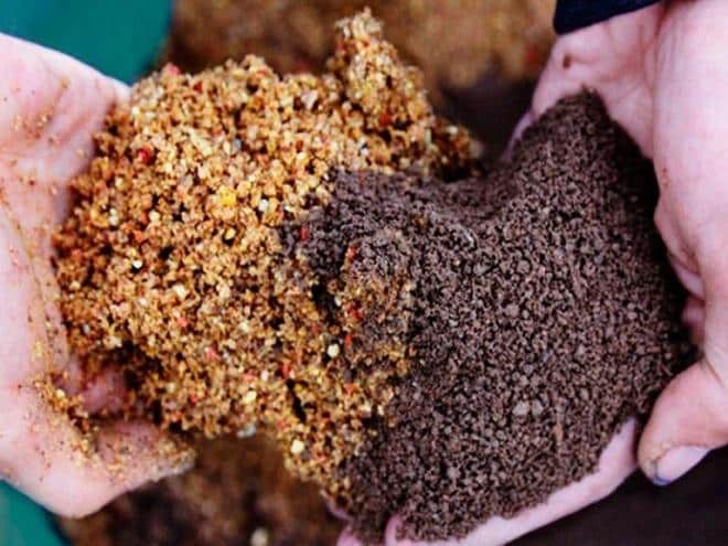 Лучшая прикормка для леща - как сделать и что купить