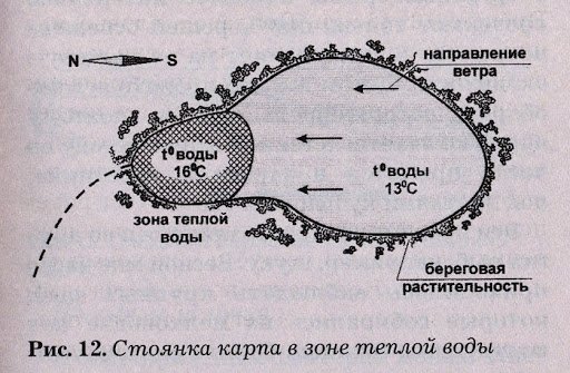 Ловля карпа ранней и поздней весной: на что ловить и как подать