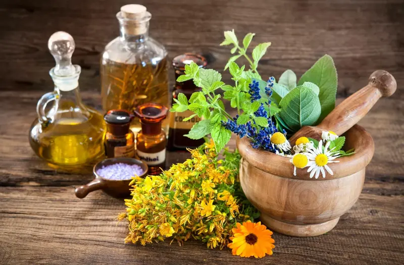 Народная медицина Забайкалья