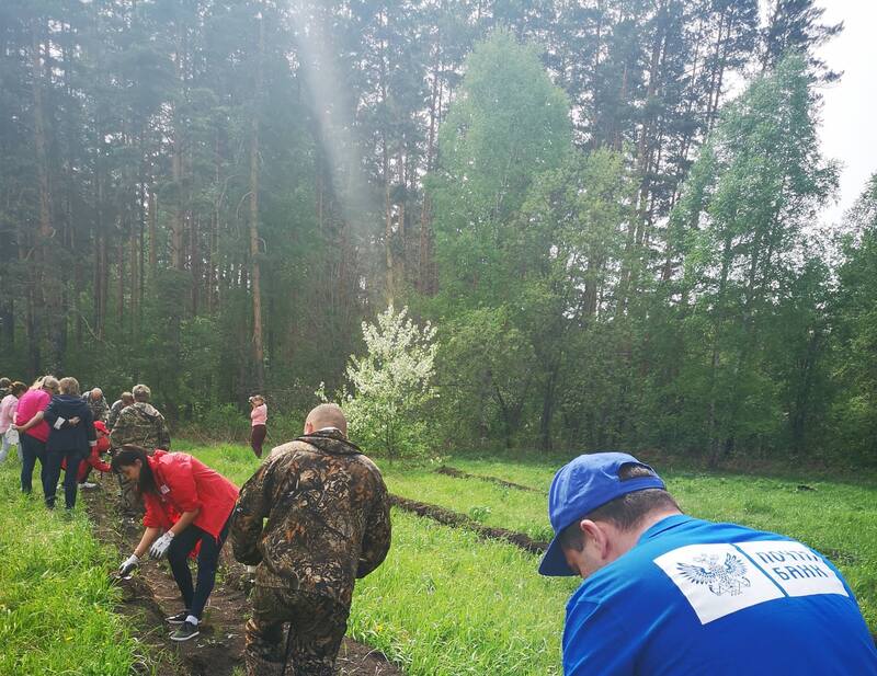 Праздник леса