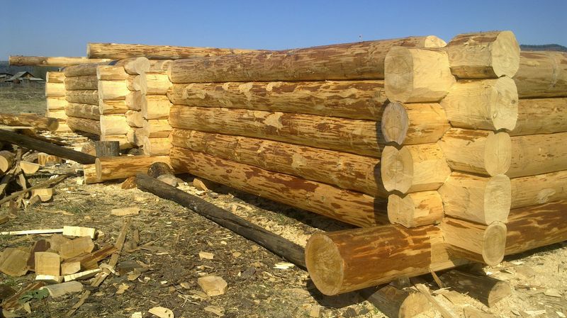 Подготовка бревна для сруба бани