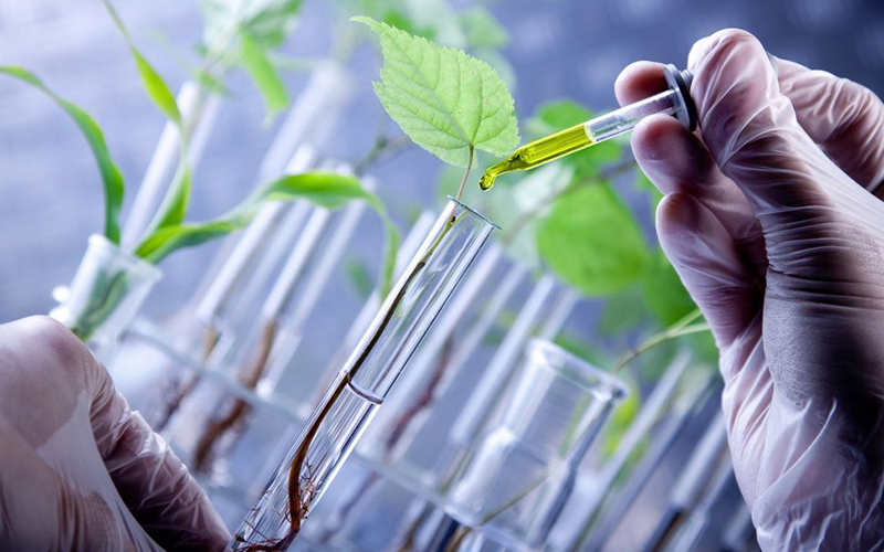 Биотехнолог