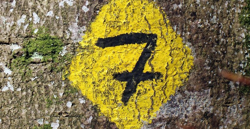 Священное число 7