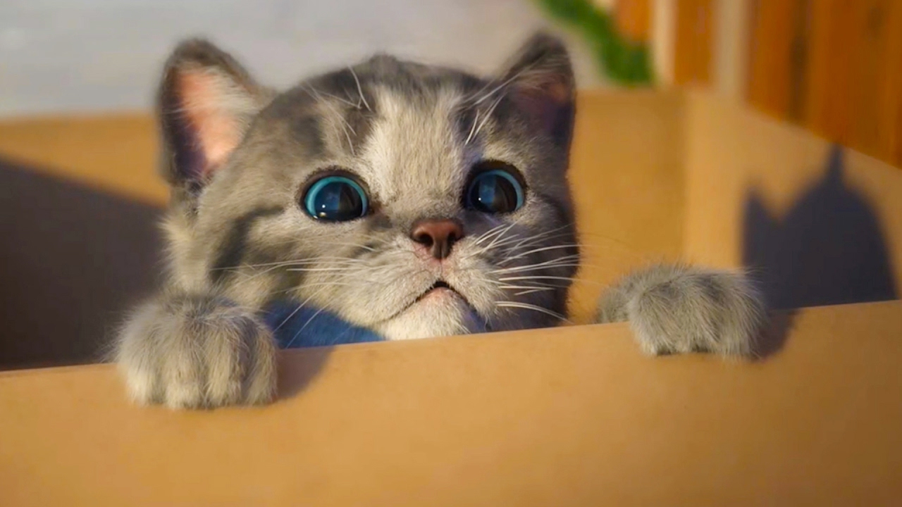 Лучшие статусы в картинках