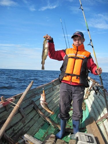 ДомДаРа | Рынок