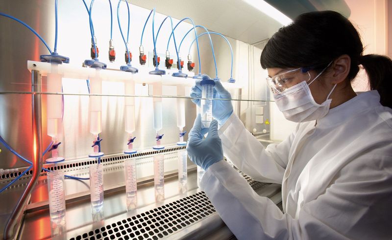 Испытания на эмбрионах