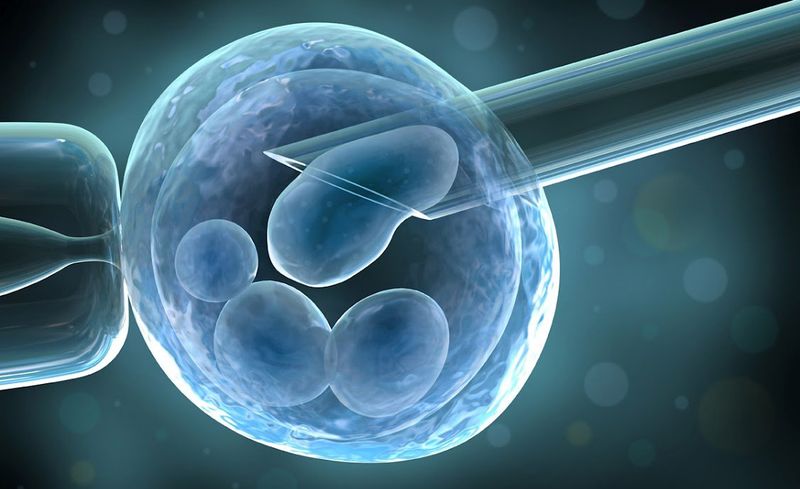 Искусственное оплодотворение