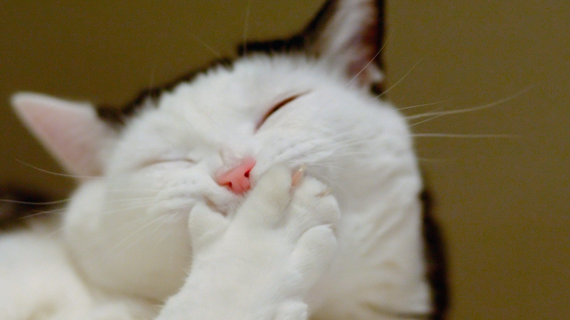 Лучшие статусы в картинках