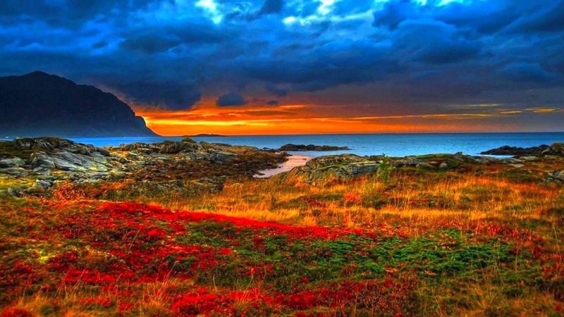 Живая природа планеты