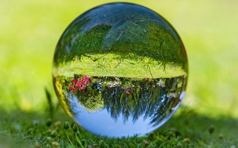 Разнообразие форм жизни