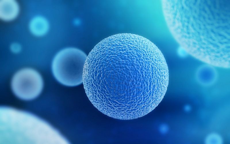 Микроорганизмы