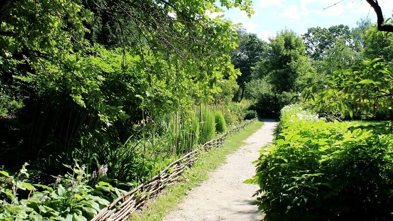 Прогулки по усадьбе Чехова в Мелихово