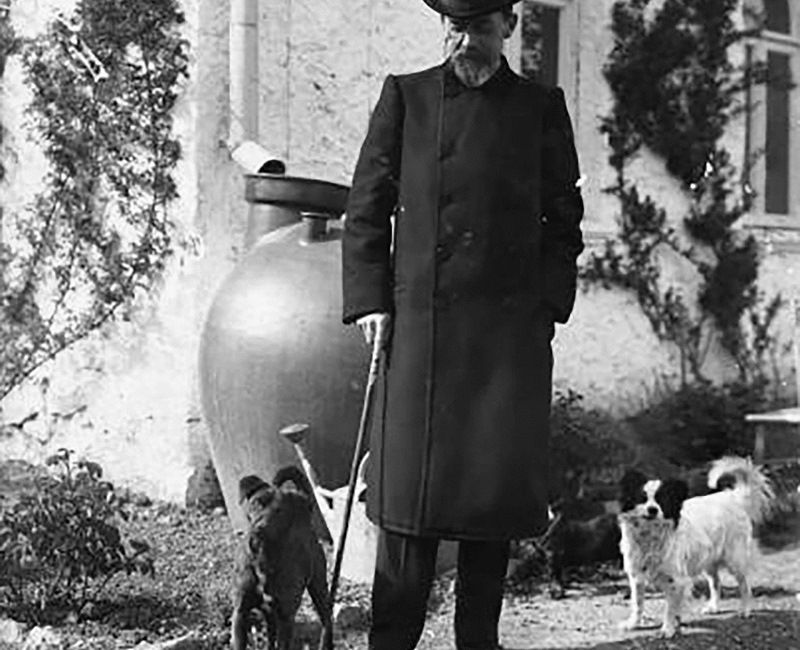 Чехов и животные