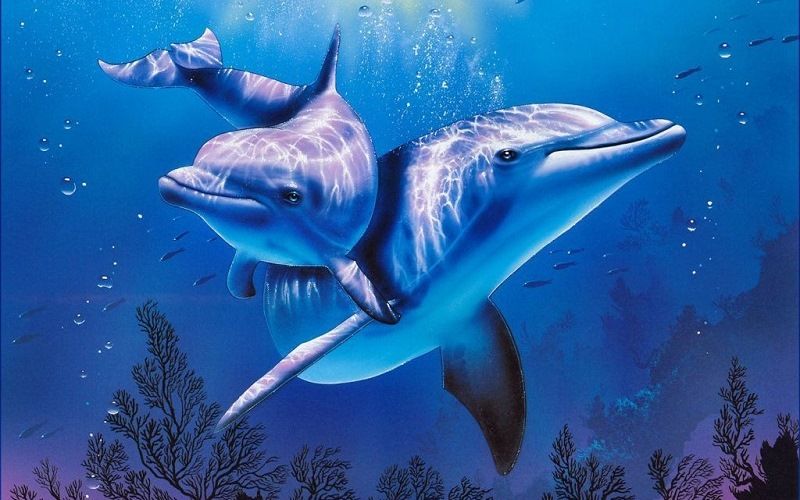 Способность дельфинов к регенерации