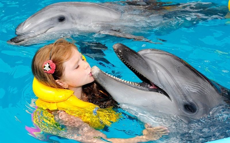 Дельфины и дети
