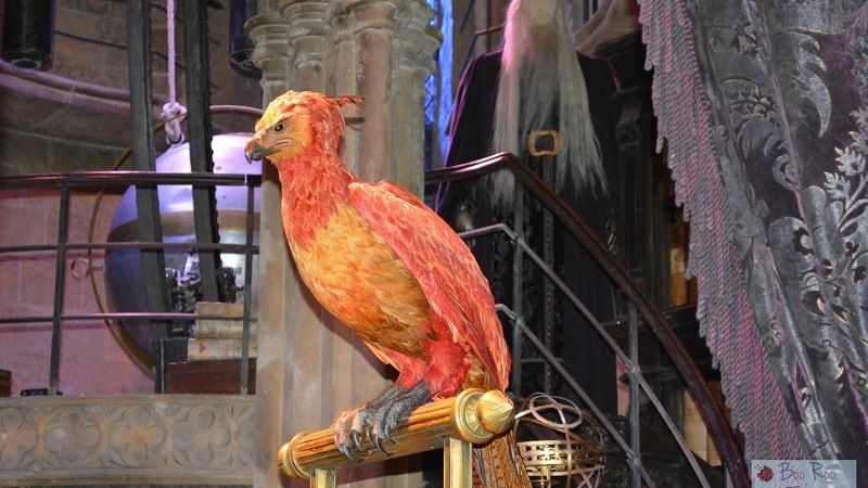 Феникс из фильма о Гарри Поттере