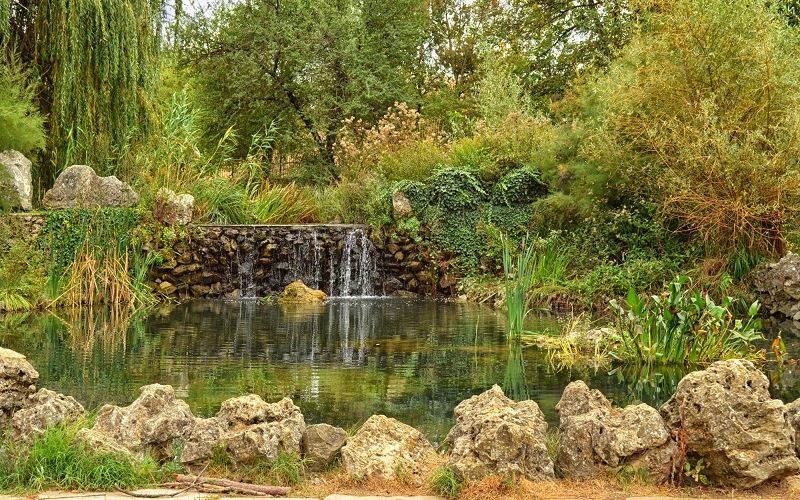 Симферопольский дендрарий