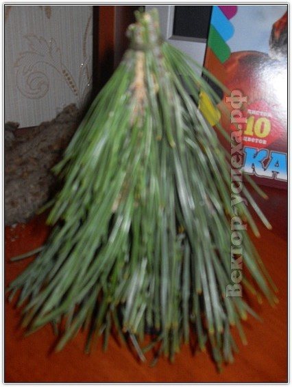 Избушка на курьих ножках своими руками из природного материала