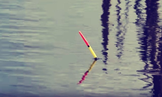 Какой цвет поплавка лучше видно на воде