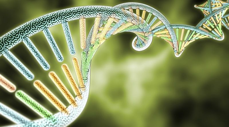 Клонирование или естественное размножение