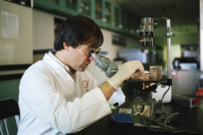 Металловед