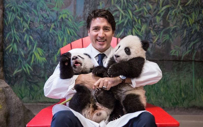 "Обниматель" панд