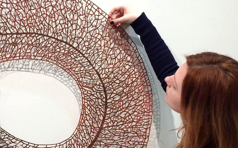 Кружева Мередит Вулно