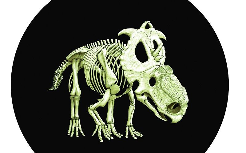 Канадская монета "Скелет динозавра"