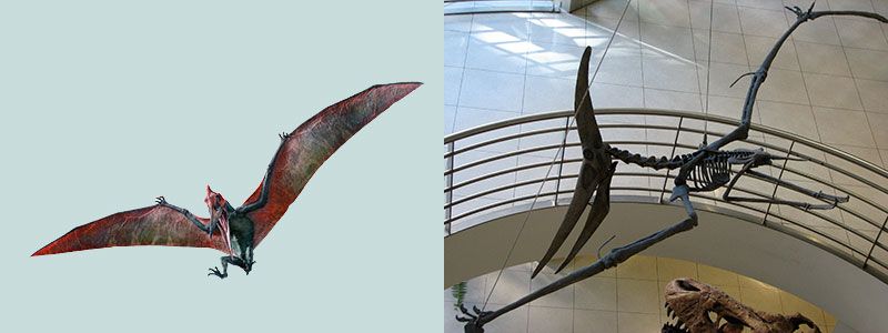 Птеранодон