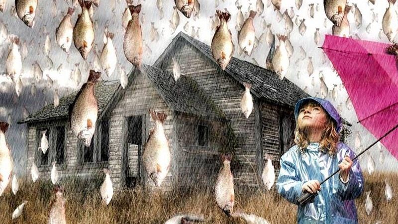 Дождь с рыбами