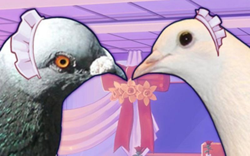 Hatoful Boyfriend