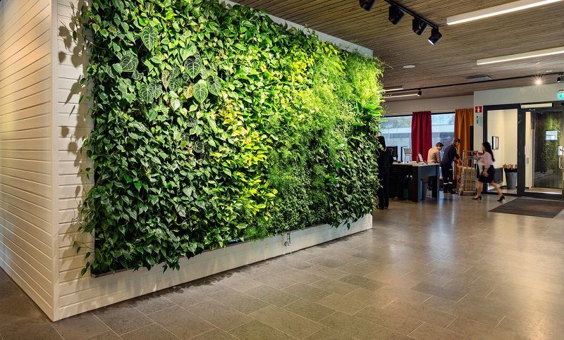 Живая стена