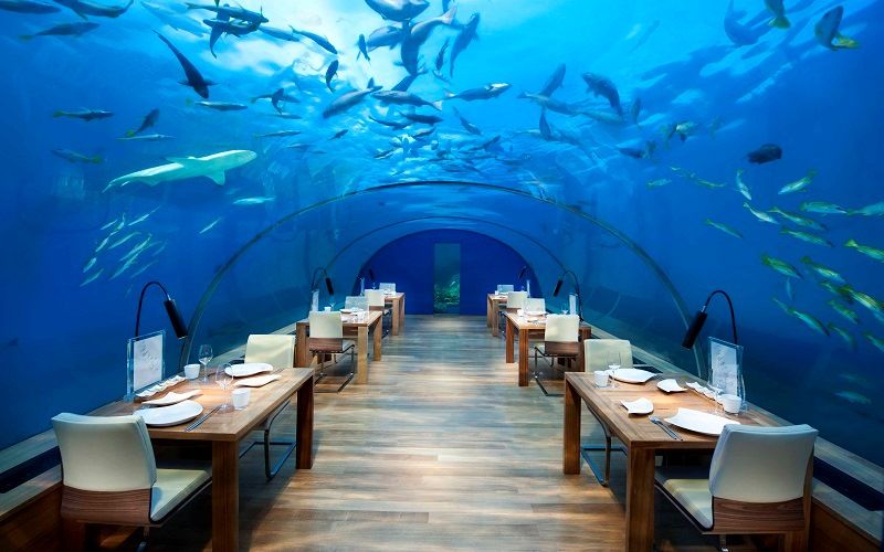 Кафе на Мальдивах «Conrad Maldives Rangali Island»