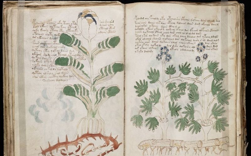 Манускрипт Войнича