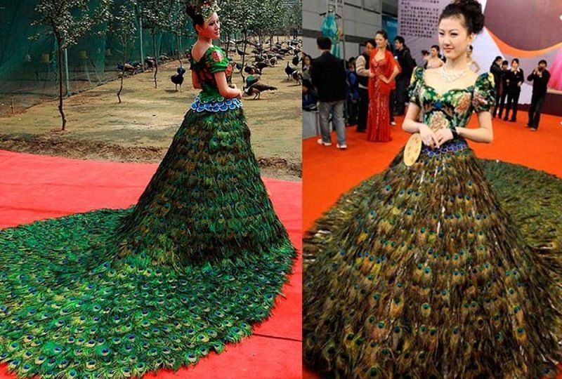 Платье из павлиньих перьев