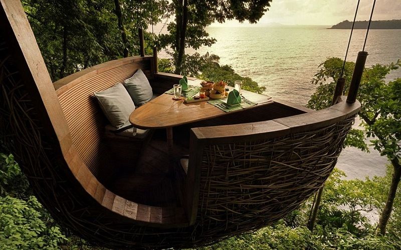 Птичье гнездо на острове Ко Куд в Таиланде