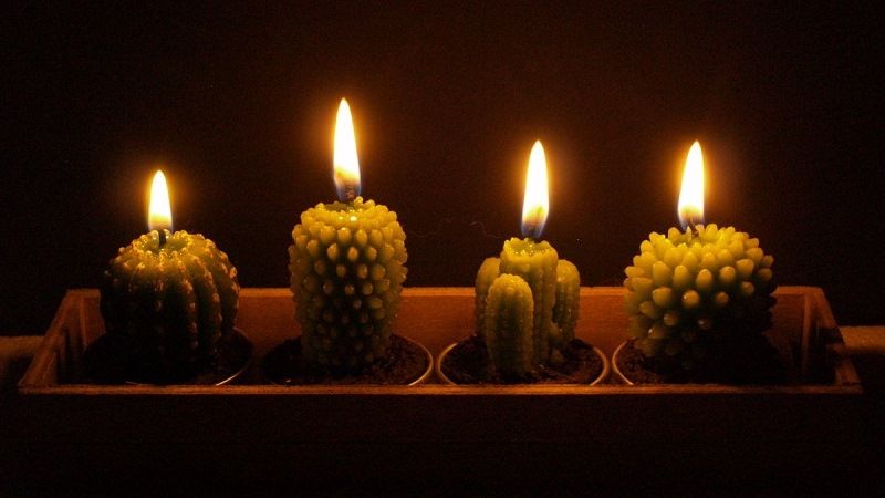 Свечи кактусы