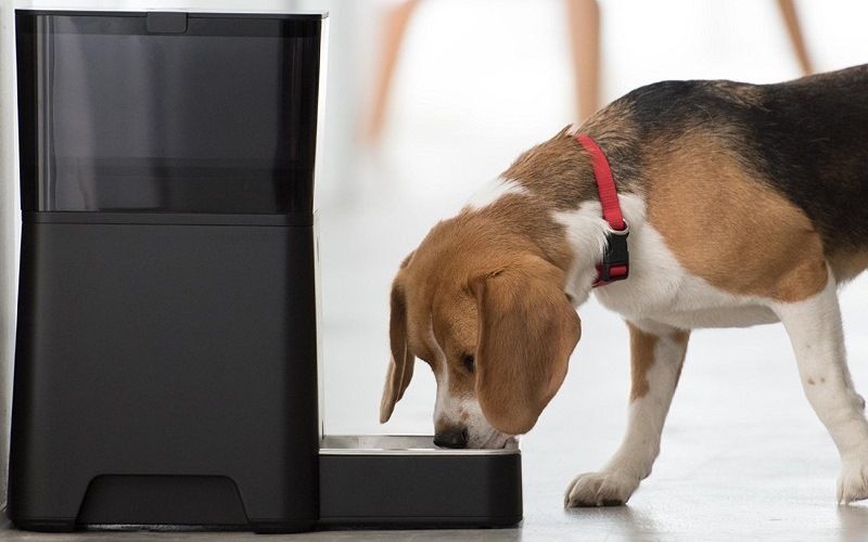 Автокормушка