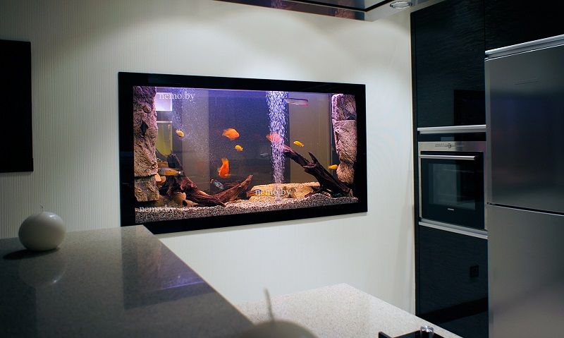 Аквариум в стене