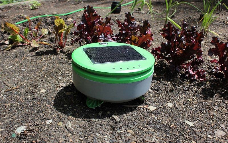 Робот Tertill для прополки