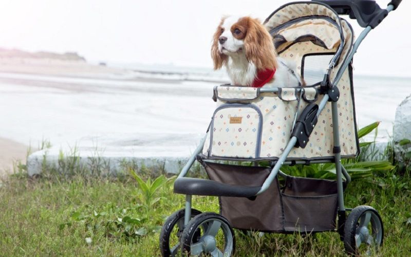 Коляска для животных