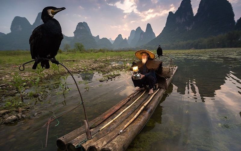 Рыбалка по-китайски с бакланами