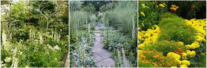 Ландшафтный дизайн в одном цвете