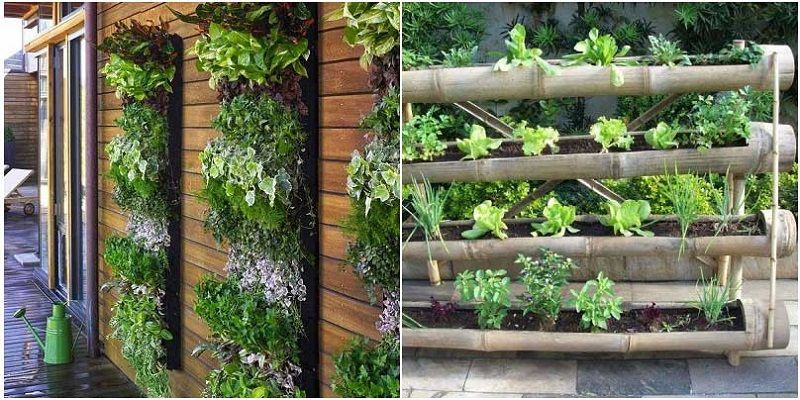 Вертикальные грядки