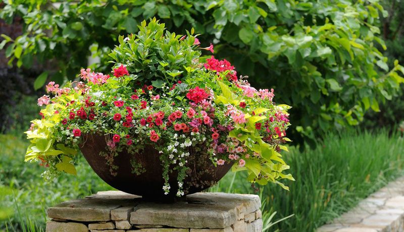 Декоративные вазоны