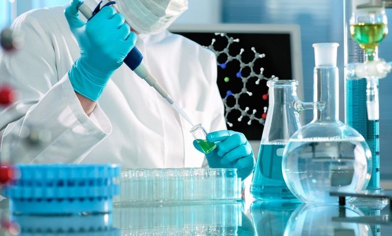 Использование стволовых клеток при выращивании зубов