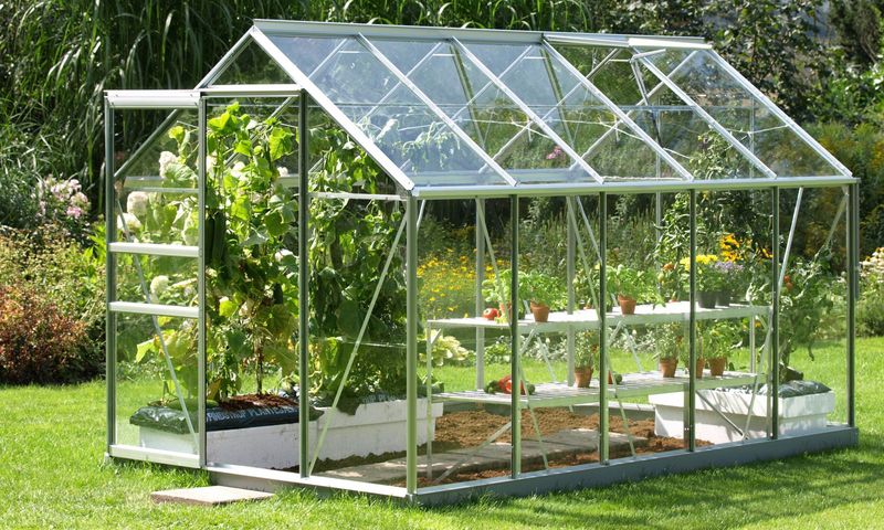 Стеклянное покрытие теплицы