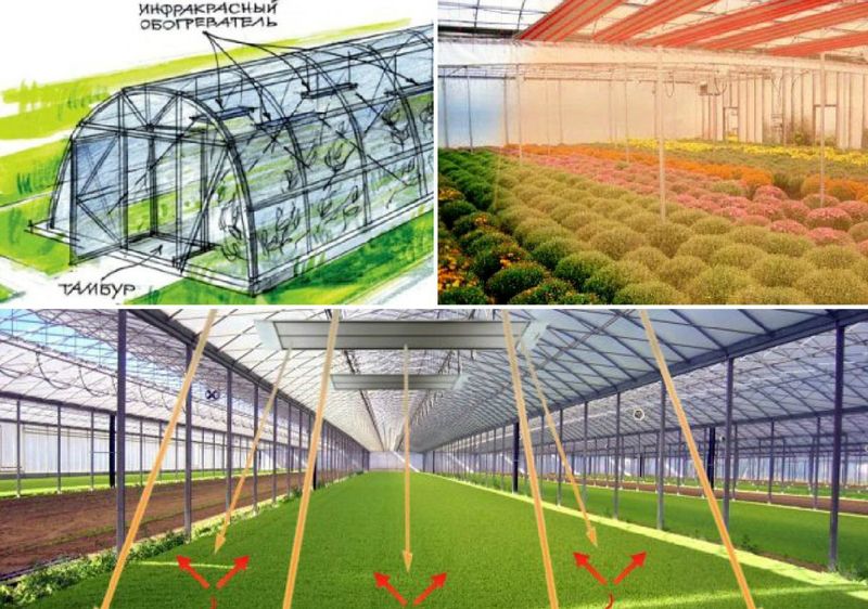 Инфракрасные керамические обогреватели в теплицах