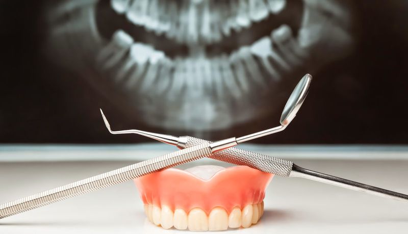 Выращивание зубов